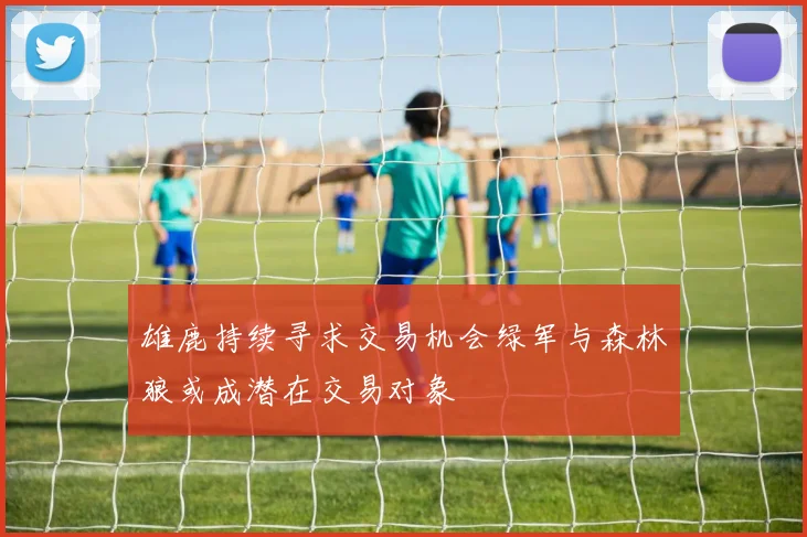 雄鹿持续寻求交易机会绿军与森林狼或成潜在交易对象